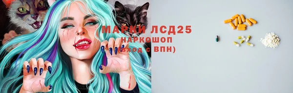 спиды Новозыбков