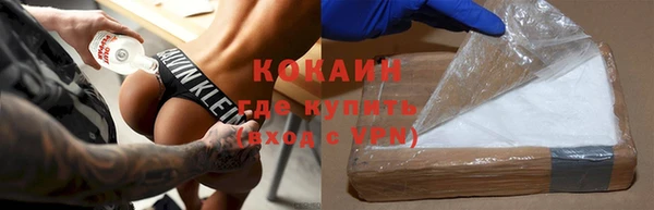 твердый Новодвинск