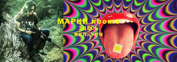 твердый Новодвинск