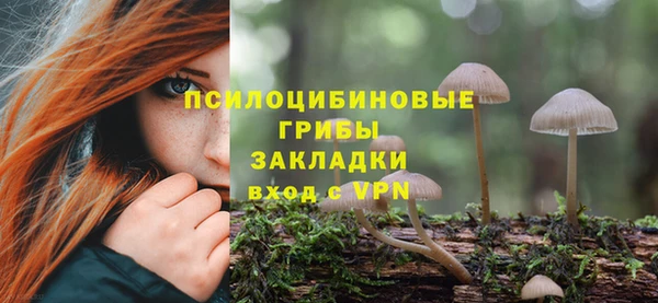 твердый Новодвинск