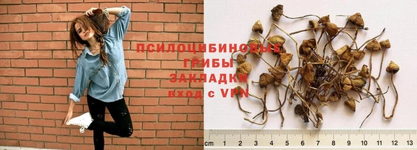 mix Нязепетровск