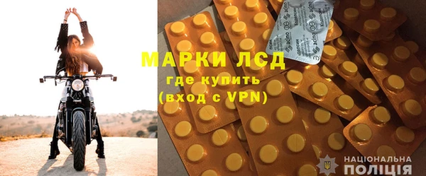 твердый Новодвинск