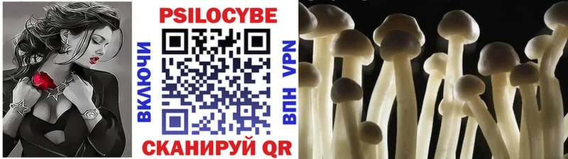 дарнет шоп  Новопавловск  Галлюциногенные грибы Magic Shrooms 